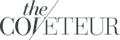 Zanvia LLC Financial Partner Brand Logo 1